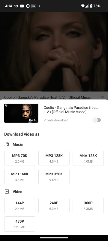 Snaptube video download format